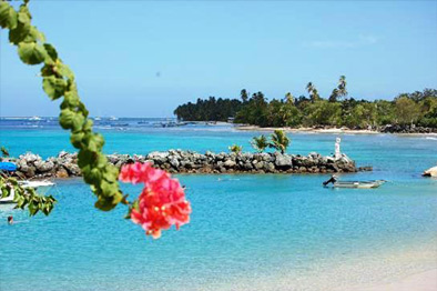 volunteer trinidad and tobago, volunteering trinidad y tobago volunteering south america,