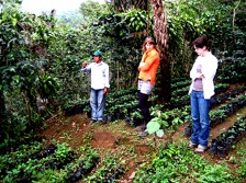 organic agriculture volunteering project guatemala